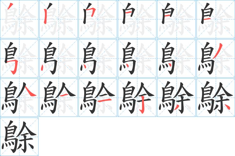如何正确读出“红鹈鹕”？读音及相关知识介绍