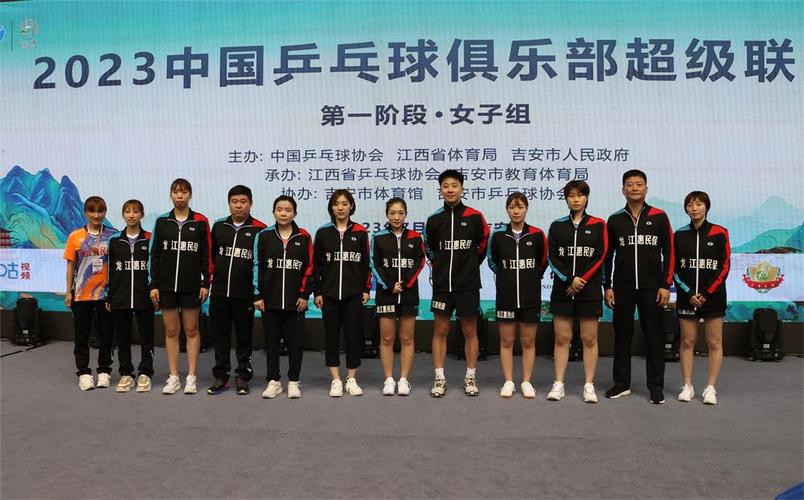 独家！刘诗雯怀孕，揭秘孩子父亲身份之谜