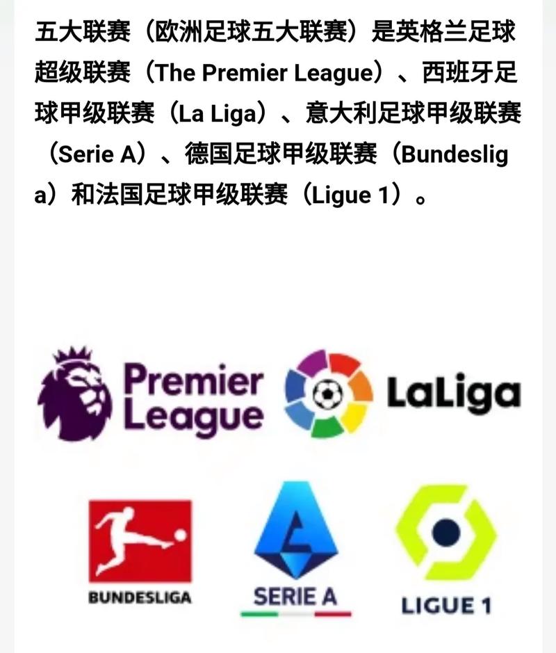 想知道五大联赛有多少轮比赛吗？英超西甲意甲德甲法甲轮次速览
