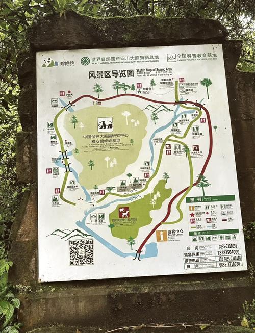 碧峰峡一日游攻略：玩转熊猫基地和峡谷风光最合理路线