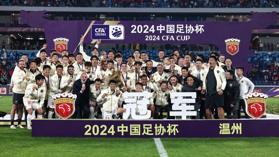 中国足球球队大全：从超级联赛到业余联赛