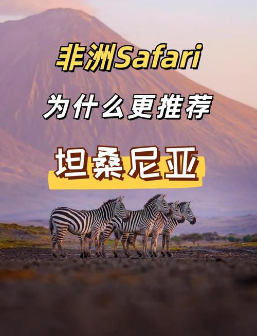 坦桑尼亚是哪个国家？一文读懂它的地理、文化和经济
