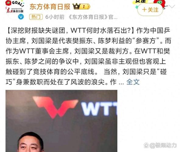 揭秘：排挤刘国梁的幕后黑手究竟是谁？