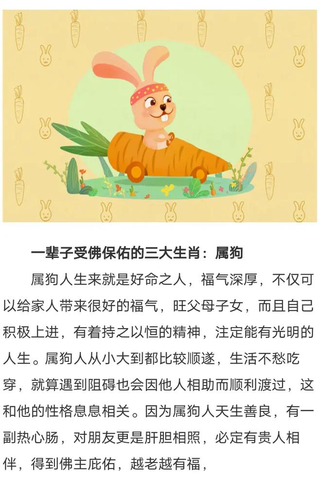 热火朝天是哪个生肖的象征？解析生肖性格与成语