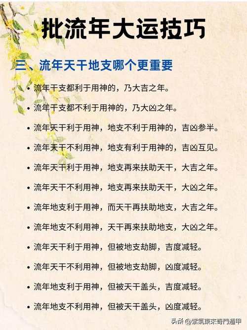 大运会多久举行一次？掌握大运会举办规律及相关知识