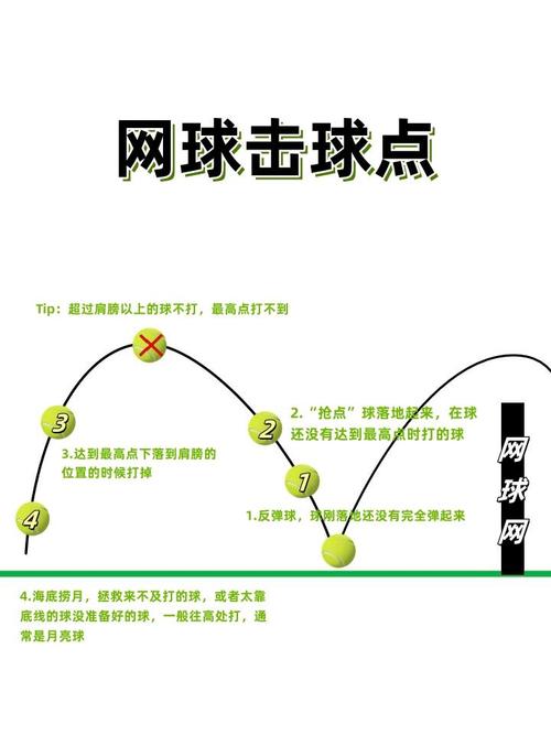体球网打不开怎么办？教你几招轻松解决！