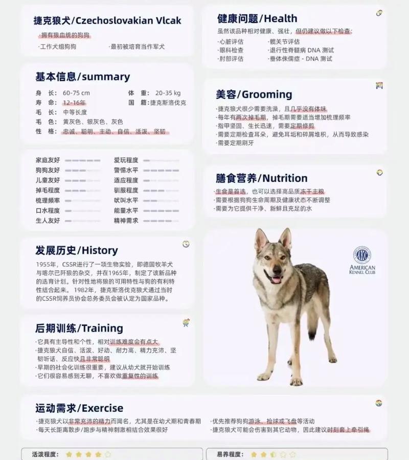 捷克狼犬价格是多少？影响价格的几个关键因素