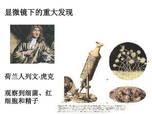 你知道列文虎克发明了什么吗？显微镜技术对人类的贡献