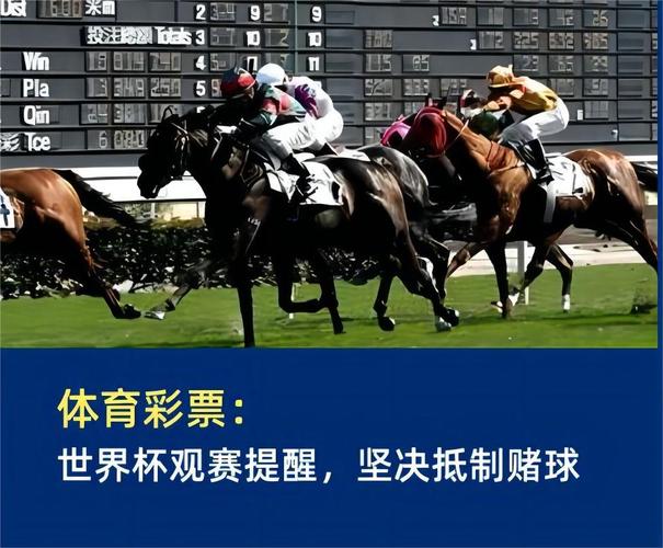 想赌世界杯？去哪里买彩票才合法靠谱？