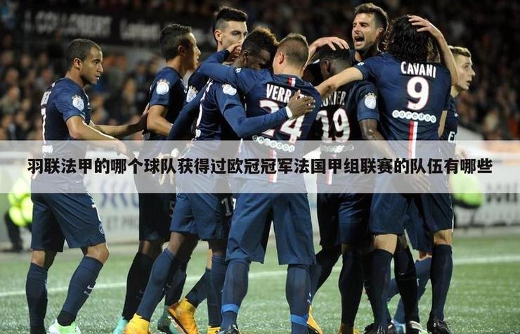 法国球队拿过欧冠吗？冠军球队是哪支？