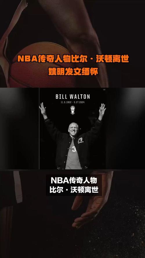 比尔沃顿的号码是多少？这位NBA巨星的传奇之路