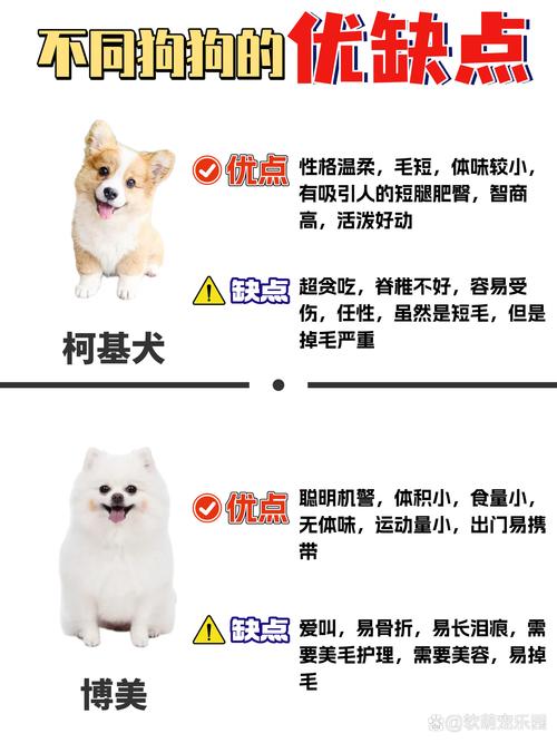 想养那不勒斯獒犬？先了解它的优缺点和饲养要点