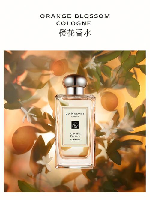 祖马龙香水属于哪个档次？看完你就明白了