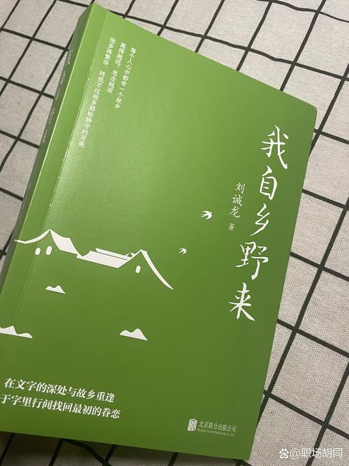 林书豪的故乡在哪里？探秘他的成长经历和家庭背景