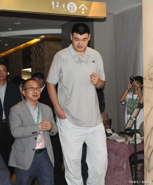 姚明与其他超巨对比，他究竟达标了吗？