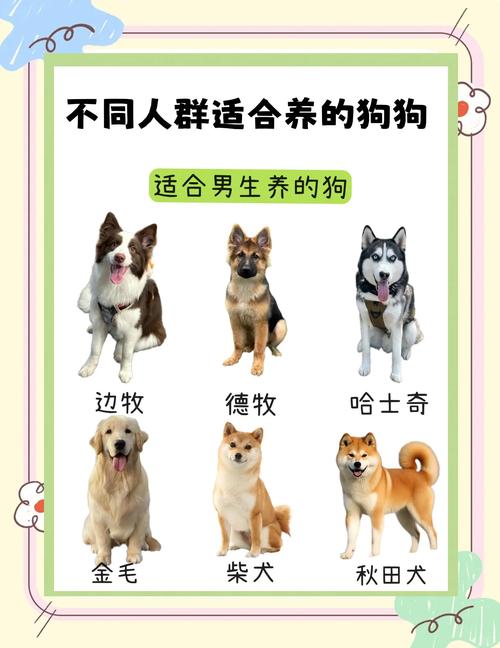 家庭养什么狗最干净？这五种狗狗超省心！