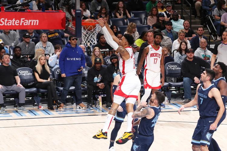 告别NBA赛场：凯文马丁退役原因及职业生涯回顾
