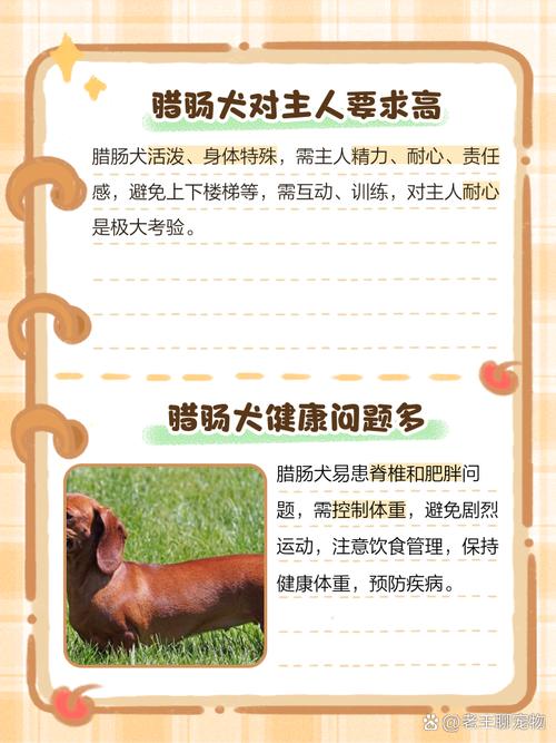 不建议养的10种狗：它们真的不适合你？