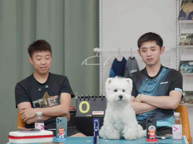 尹航和张继科谁更厉害？乒乓球高手巅峰对决