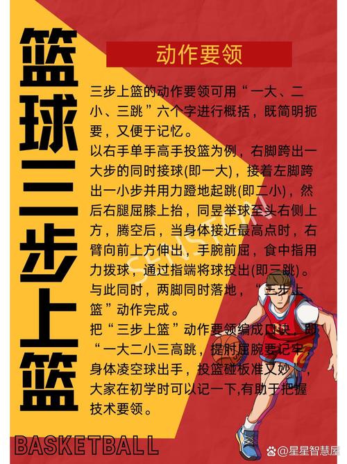 篮球客怎么用？新手小白快速上手指南