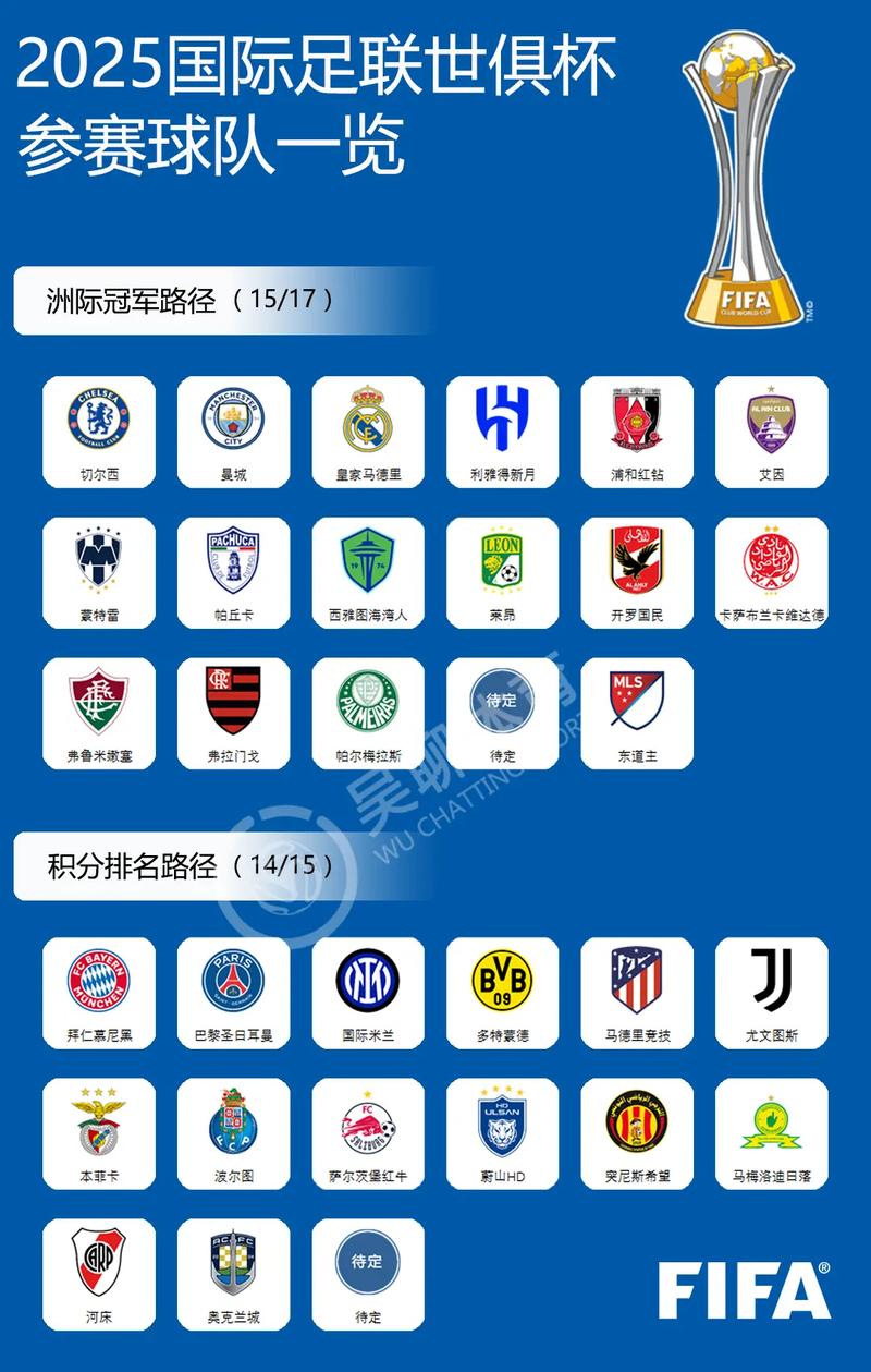 想知道世俱杯几年举办一届？这里有答案