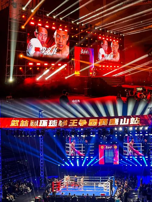 热血沸腾的武林风为何停播？官方回应与网友猜测