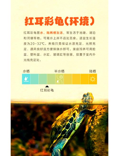 巴西龟真的不能养吗？看看专家怎么说！