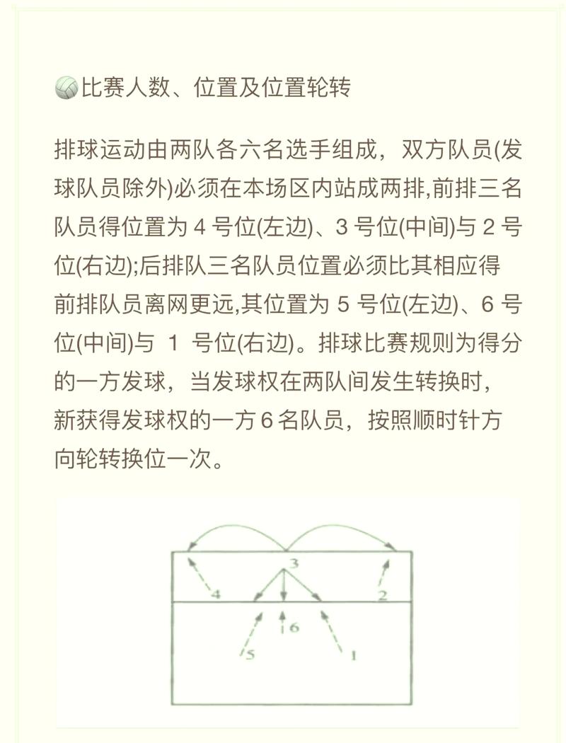 女排比赛规则详解：得分、发球、轮转，一看就懂