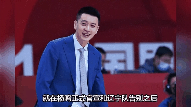深入了解杨鸣19cm梗：真相远比你想象的精彩