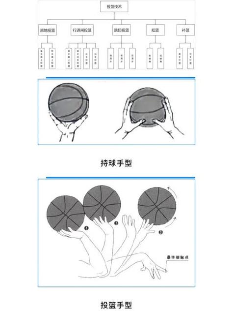 篮球客怎么用？新手小白快速上手指南