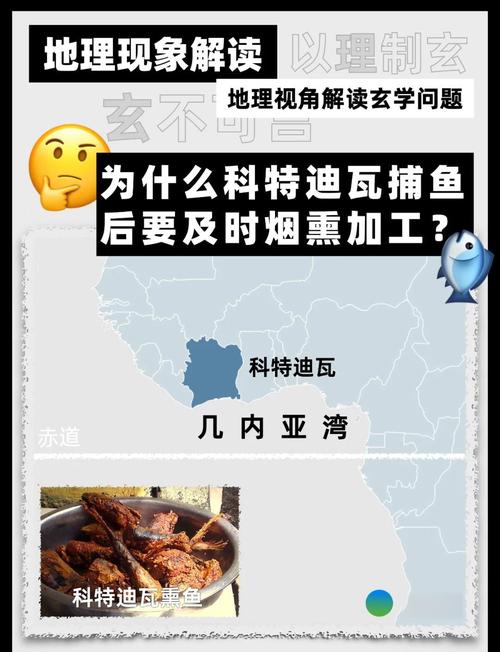科特迪瓦是穷国吗？从历史到现状，看其经济发展之路