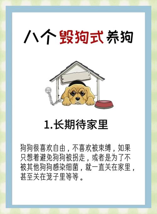 不建议养的10种狗：它们真的不适合你？