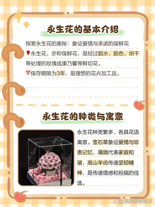 永生花是什么花？它和普通鲜花有什么区别？