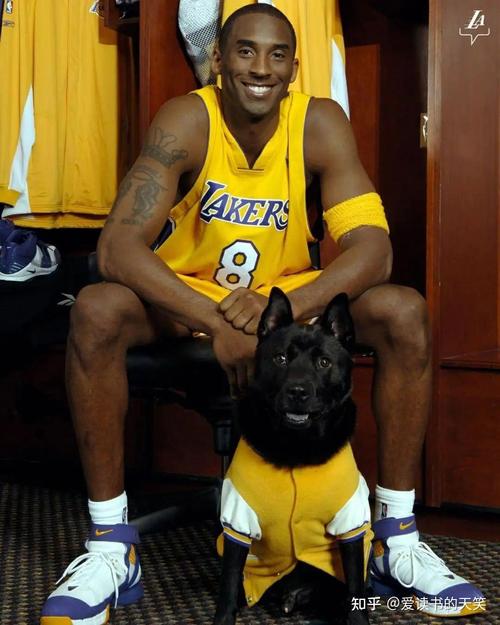 科比回来了吗？季前赛首秀精彩回顾及分析