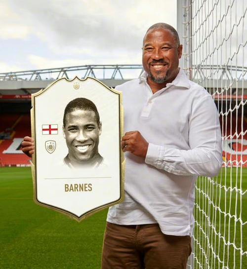 巴恩斯在哪个队？深度解析他的职业生涯和未来发展