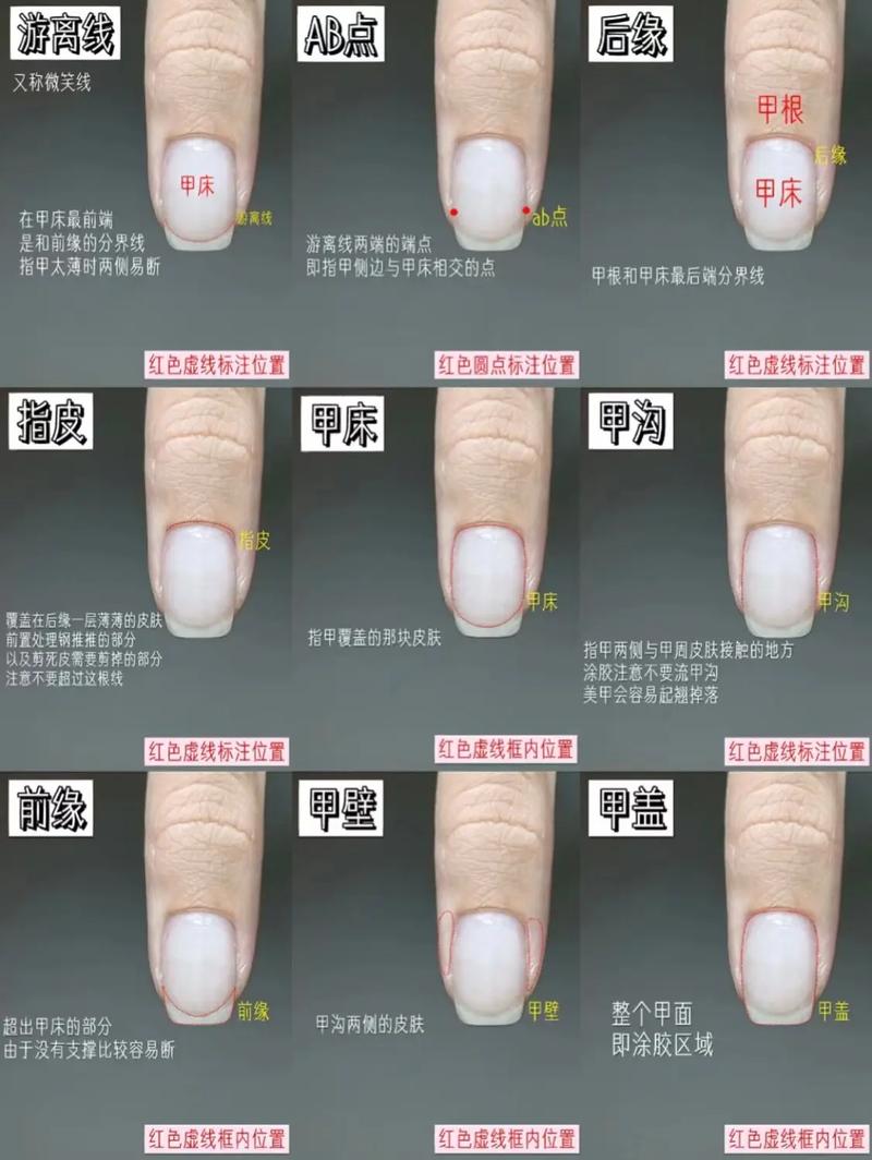 阿甲究竟指什么？揭秘阿甲的多种含义和用法