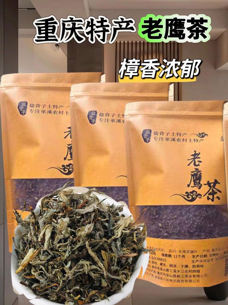 不知道老鹰茶是什么茶？这篇科普文章带你全面了解老鹰茶