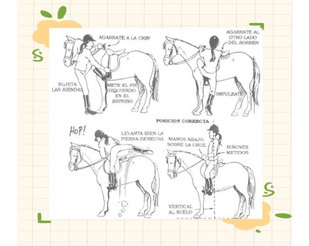 一文读懂马刺：骑马用具和NBA球队你都了解吗？