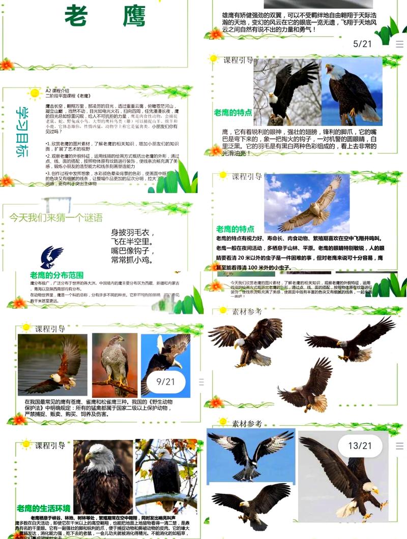 想知道老鹰的新书名字吗？答案就在这里！