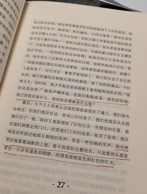 那不勒斯四部曲豆瓣书评，揭秘精彩剧情