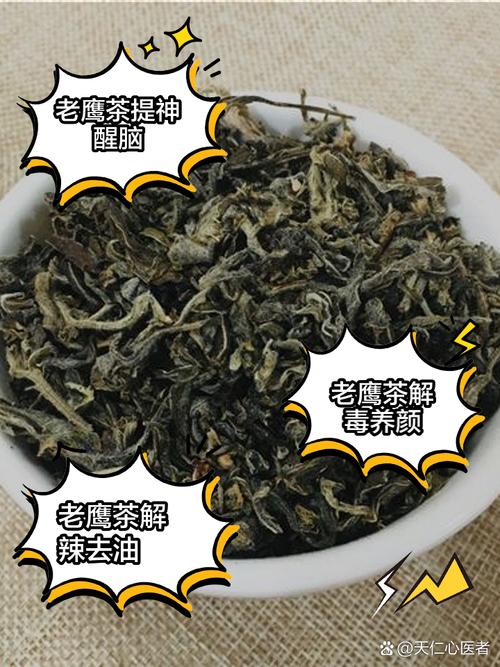 不知道老鹰茶是什么茶？这篇科普文章带你全面了解老鹰茶