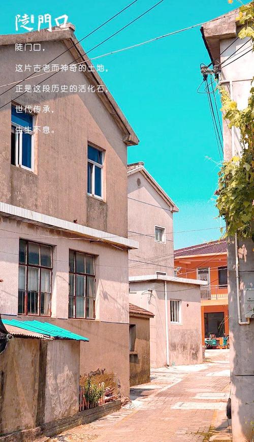 深入探秘马蒂亚斯：游戏角色、NBA球员还是学者？