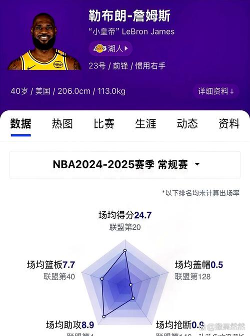 詹姆斯今天得了多少分？详细战报及得分纪录