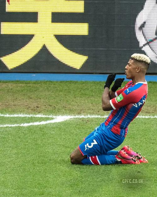 范安霍尔特职业生涯表现如何?实力深度解析