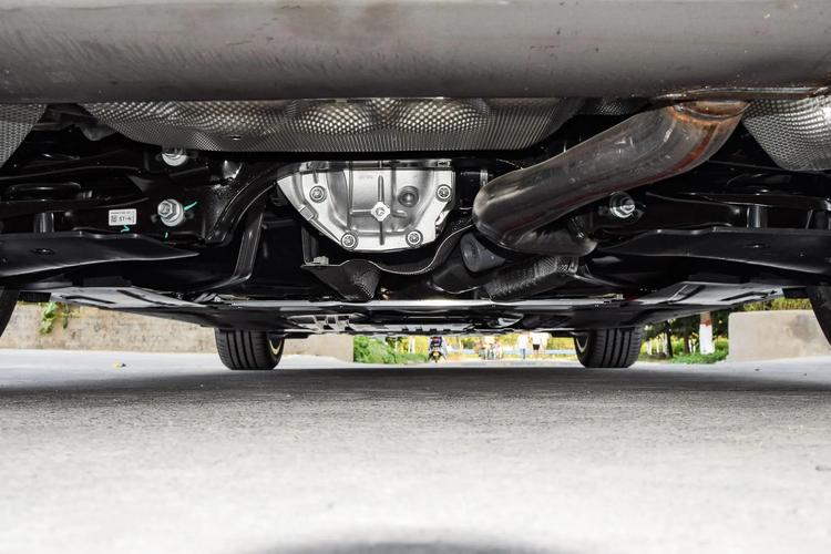 布罗格登篮球实力究竟怎么样？数据告诉你答案