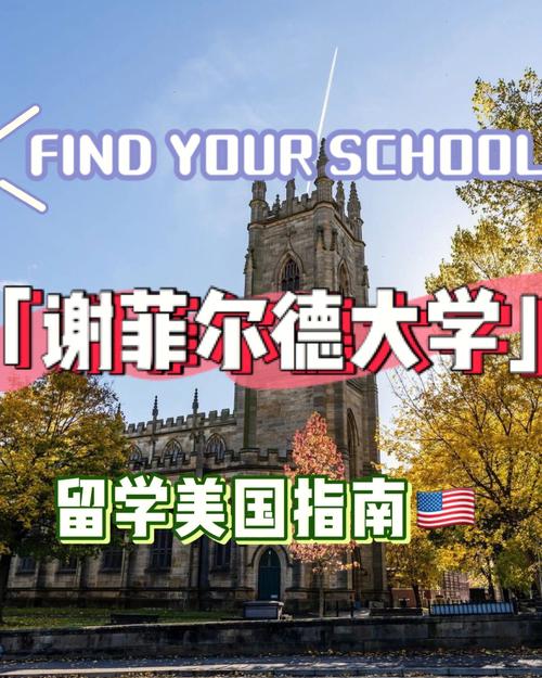 谢菲尔德大学是名校吗?深度解析其排名和实力