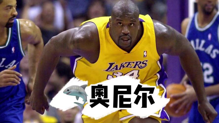 奥尼尔多高多重？大鲨鱼的惊人身高体重数据揭秘