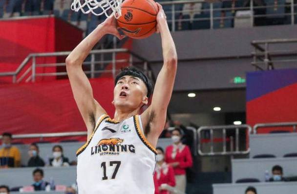 CBA球员刘雁宇的家乡在哪里？揭秘刘雁宇的出生地及成长经历。