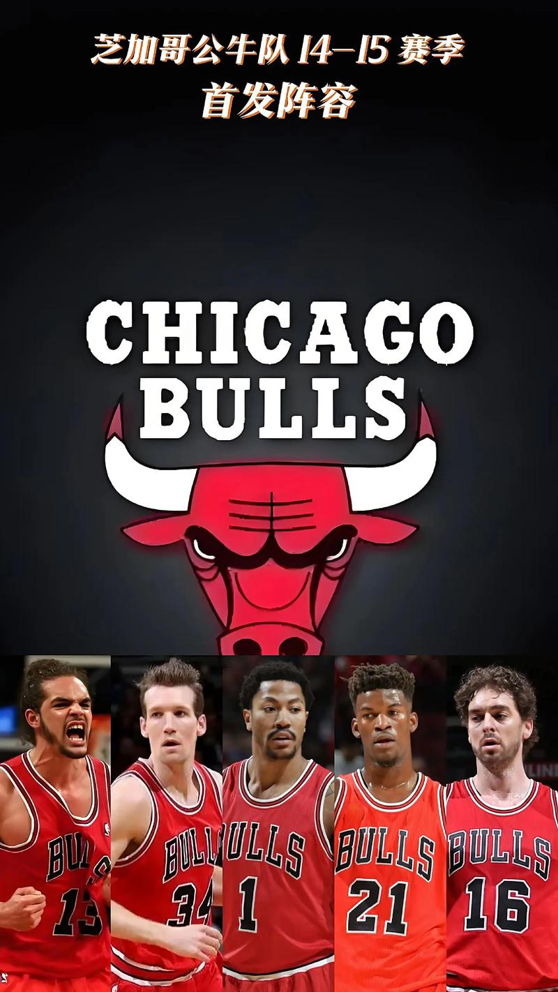 公牛队是哪个国家的球队？深入探秘芝加哥公牛队的精彩瞬间