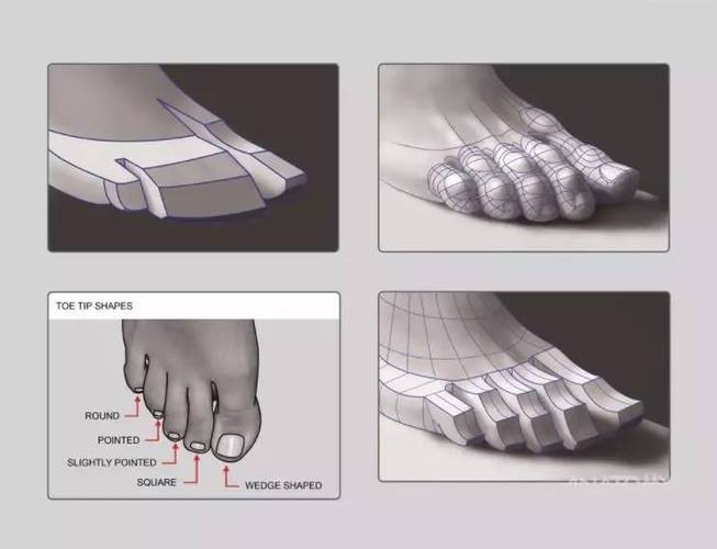 自己动手画湖人队标，超详细步骤图文教程